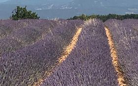 Provence Luberon Bonnieux location gite chez Marcelle