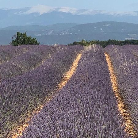 Provence Luberon Bonnieux location gite chez Marcelle Extérieur photo