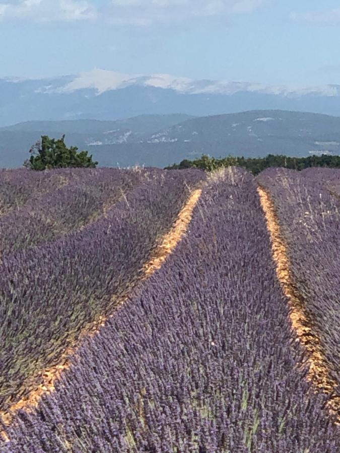 Provence Luberon Bonnieux location gite chez Marcelle Extérieur photo